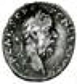 Pescennius Niger, Denarius, Antioch, reverse Fortvn-A-E Redvc, Fortuna standing holding long branch and cornucopiae...