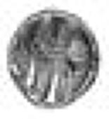 Gallo-Belgic issues, Gallo-Belgic issues, series D, gold Quarter-Stater, remnants of Apollo head, reverse tree-like...