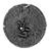 17th Century, Southwark, St. George’s Churchyard (Blackman St.), John Dickinson, Sextun, Farthing, 1650, obverse a...