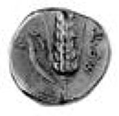 Italy, Lucania, Metapontum, Stater, head of Demeter, rev. ear of barley 7.81gm (Johnson C 5.14). Good very fine...