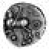 Tasciovanus, Catuvellauni, Tasciovanus, gold Quarter-Stater, tasc on ornamented tablet, reverse horse left, pellet...