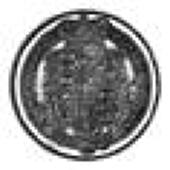 George III (1760-1820), Proof Sixpence, 1818, edge grained, struck en médaille, 2.81gm (ESC 1635). Brilliant,...