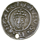 Class I, Winchester, Rodbert, rodbert·on·win, prominent cheeks defined by pellets, dies 22/22, 1.40g/12h (SCBI...