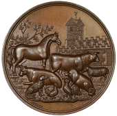 Batley, Batley & District Agricultural Society, a bronze award medal, unsigned, arms, rev. wreath, named (C.M. Luke,...