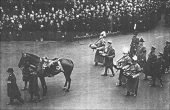 Eleven: Sergeant T. Secrett, 11th Hussars, late 8th Hussars, batman to Field Marshal Haig

Queen’s South Africa...