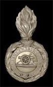 Forfar & Kincardine Artillery Militia, an extremely rare officers’ grenade plume holder in silver plate, the ball...