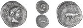 Atrebates and Regni, Eppillus, Unit, bearded head right within wreath, rev. boar right, eppi above, f com below,...