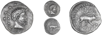 Atrebates and Regni, Eppillus, Unit, bearded head right within wreath, rev. boar right, eppi above, f com below,...