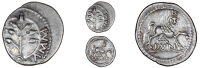 Cantii, Amminus, Unit, plant, amm[invs] around, rev. winged horse right, dvn below, 1.02g/6h (BMC 2522; VA 192; S...