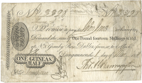 Co Tyrone, Dungannon, Thomas Hannyngton, One Guinea & Half [One Pound, Fourteen Shillings and Three-Halfpence], 1...