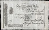 Co Cork, Cork, Cork Banker’s Note, One Guinea, 18—, unissued, for George Newenham & George Newenham Jr. Good...