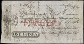 Co Dublin, Dublin, One Guinea, 18 April 1806, no. 3674, for Sir Thomas Lighton Bart, Thomas Needham & Robert Shaw,...