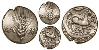 Catuvellauni, Cunobelin, Stater, Plastic type, ear of barley dividing CAM[V], rev. horse prancing right, branch and...