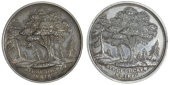 Forestry, Scottish Arboricultural Society (Inst. 1854), a silver award medal, unsigned, trees and firs, rev. wreath,...