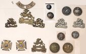49th/66th Regiments, The Royal Berkshire Regiment Insignia. A good selection including o/r glengarry  badges to the...