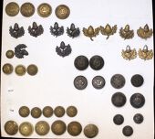 Army Veterinary Corps/Royal Army Veterinary Corps, Tank Corps/Royal Tank Regiment, 22nd (Cheshire) Regiment...