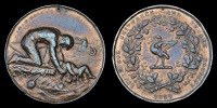 Liverpool Shipwreck and Humane Society, Marine Medal, 3rd type, bronze (To William Davies for Meritorious Service...