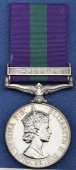 General Service 1918-62, 1 clasp, Malaya, E.II.R. (Fg. Off. J. M. Biart, P.M.R.A.F.N.S.) some edge bruising, good...