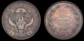 Irish Medals, WORLD COINS, Irish Medals, Catholic University School of Medicine, Dublin, a silver award medal by E....
