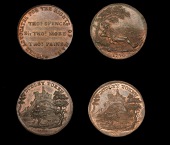 18th Century Tokens, WORCESTERSHIRE, Dudley, Spence’s mule Halfpence (2), distant view of Dudley Castle, revs....