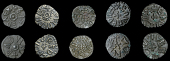 Kings of Northumbria, Eanred, Stycas (4), Eadvini, 1.24g/11h, Fordred, 1.24g/6h, Monne, 1.26g/5h, Wulfheard (?),...