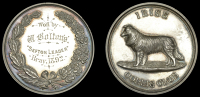Irish Collie Club, Bray, a silver award medal by J.A. Restall, dog standing left, rev. wreath, named (Won by W....