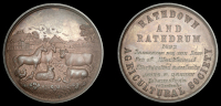 Rathdown Agricultural Society, a bronze award medal, farmyard scene with horses, bull, pig, sheep and poultry, rev....