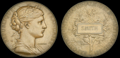 France, Exposition Internationale d’Éléctricité, Paris, 1881, a bronze award medal by J.-C. Chaplain, bust of...