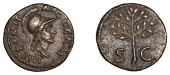 Domitian, Quadrans, 84-5, draped and helmeted head of Minerva right, rev. olive branch on large SC, 2.27g/6h (RIC...
