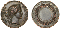 Réunion, Intercolonial Concourse at Saint Denis [Concours Intercolonial de Saint Denis], 1881, a bronze prize medal...