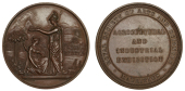 Mauritius, Royal Society of Arts and Sciences Agricultural and Industrial Exhibition, undated (c. 1881), a bronze...