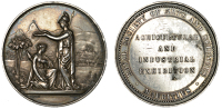 Mauritius, Royal Society of Arts and Sciences Agricultural and Industrial Exhibition, undated (c. 1881), a silver...