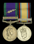 The Gulf campaign pair awarded to Radio Operator 1 B. J. Morris, Royal Navy, who was awarded the Queen’s...