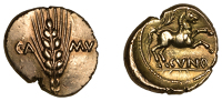 British Iron Age, CATUVELLAUNI, Cunobelin (AD 8-41), gold Stater, Classic A [Arc Stem] type, ear of barley dividing...