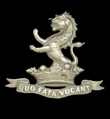 7th (Princess Royal’s) Dragoon Guards Non Commissioned Officer’s Arm Badge.
An excellent die-cast example, pre...