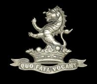7th (Princess Royal’s) Dragoon Guards Non Commissioned Officer’s Arm Badge.
A very good die-cast example, pre...