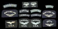Assorted Allied Air Force Cloth Shoulder Titles.
A good selection including some scarce variants, including:...
