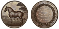 SCOTLAND, Clydesdale Horse Society, a bronze medal by Edward & Sons, draught stallion standing left in paddock,...