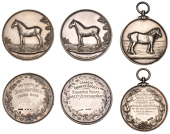 Arran Farmers Society Show, a silver award medal by W.J. Dingley, draught horse standing right in field, rev....