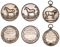 Arran Farmers Society Show, a silver award medal by W.J. Dingley, draught horse standing right in field, rev....