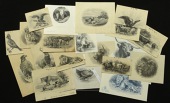 Birds and Animals, a group of vignettes comprising birds (5), sheep (2), horses (2), cattle (5), lions (3), as well...