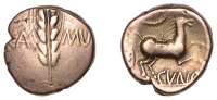 British Iron Age, CATUVELLAUNI and TRINOVANTES, Cunobelin (c. AD 8-41), gold Stater, Wild A type, ear of barley with...