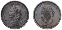 Co DUBLIN, Dublin, Edward Stephens, Parkes’ Penny, 1816, laureate and draped bust of the Duke of Wellington left,...