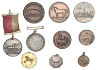 Cray Valley & Sidcup Horticultural Society, a bronze award medal, unsigned [by Vaughton], horse prancing left over...