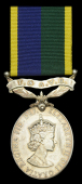 Efficiency Medal, E.II.R., 2nd issue, T. & A.V.R. (22982698 Pte. D. T. M. Richardson. Wessex.) light scratches to...