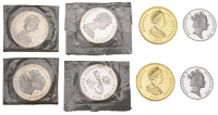 Miscellaneous, AUSTRALIA, Elizabeth II, Proof 10 Dollars, 1995, Numbat, from the Endangered Species series,...