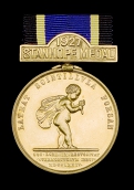 The Collection of Life Saving Awards formed by The Late W.H. Fevyer